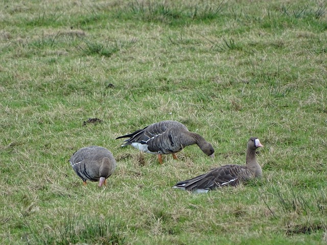 但他们的成 但他们的成