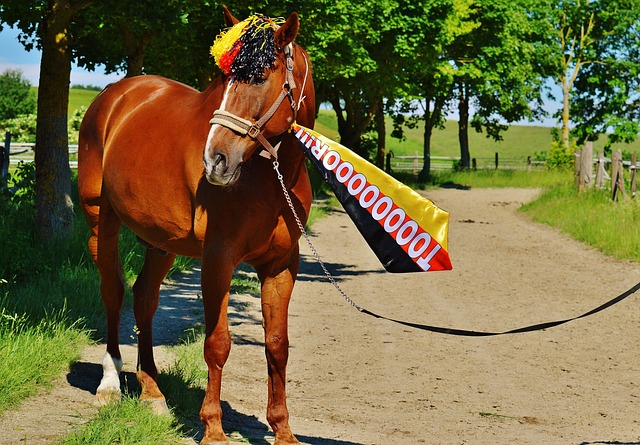 迫对方失误 迫对方失误