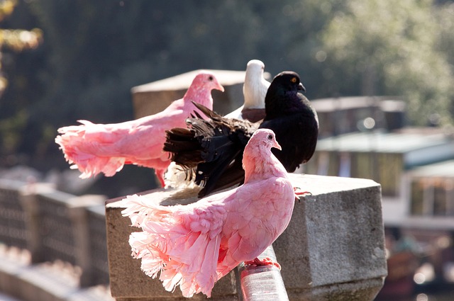 始终如一 始终如一